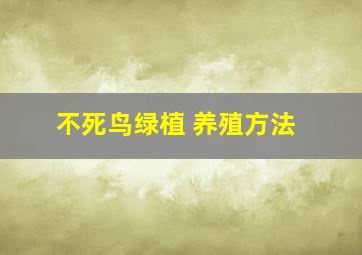 不死鸟绿植 养殖方法